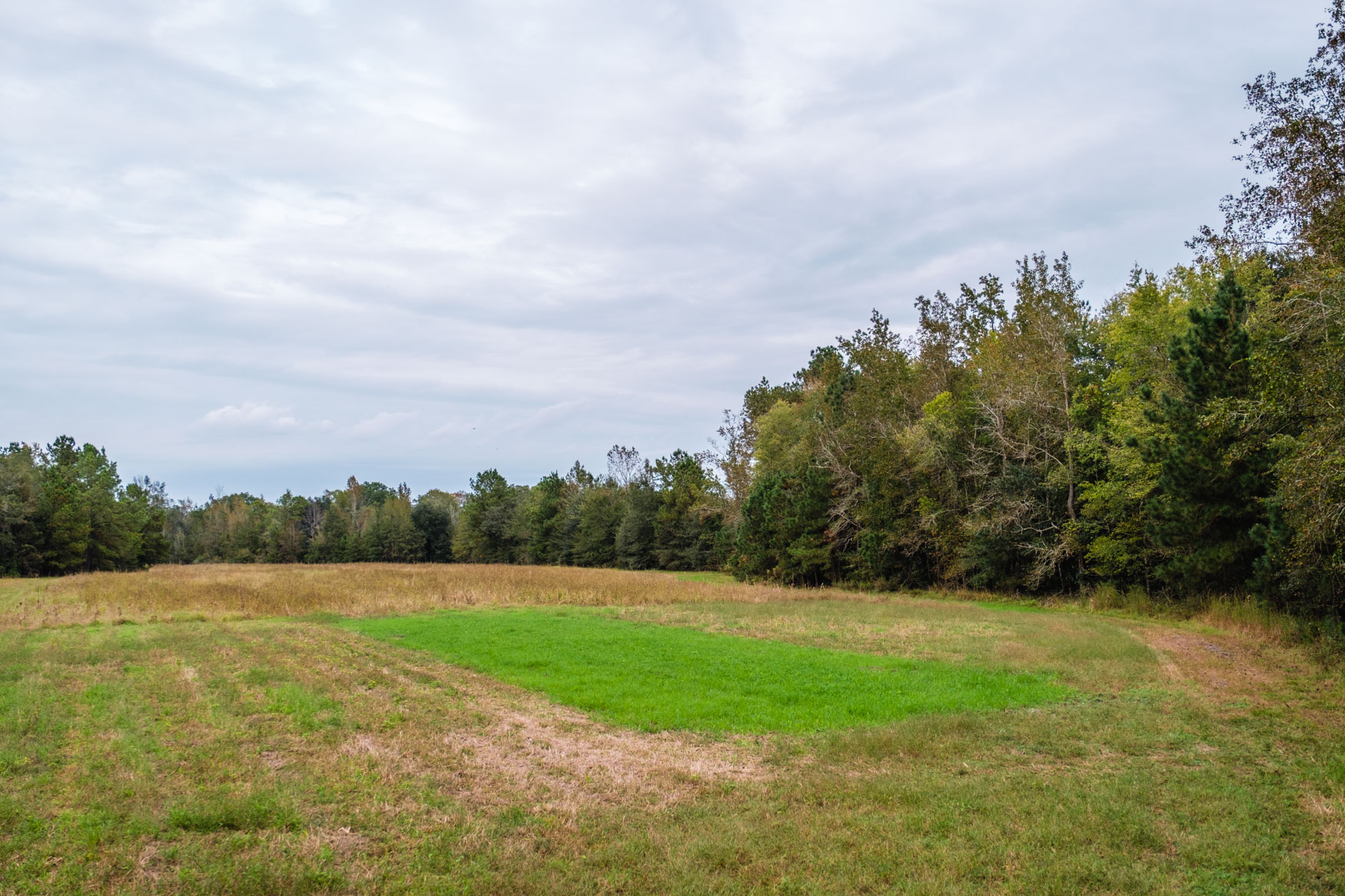 Baxter Durrence Farm Photo