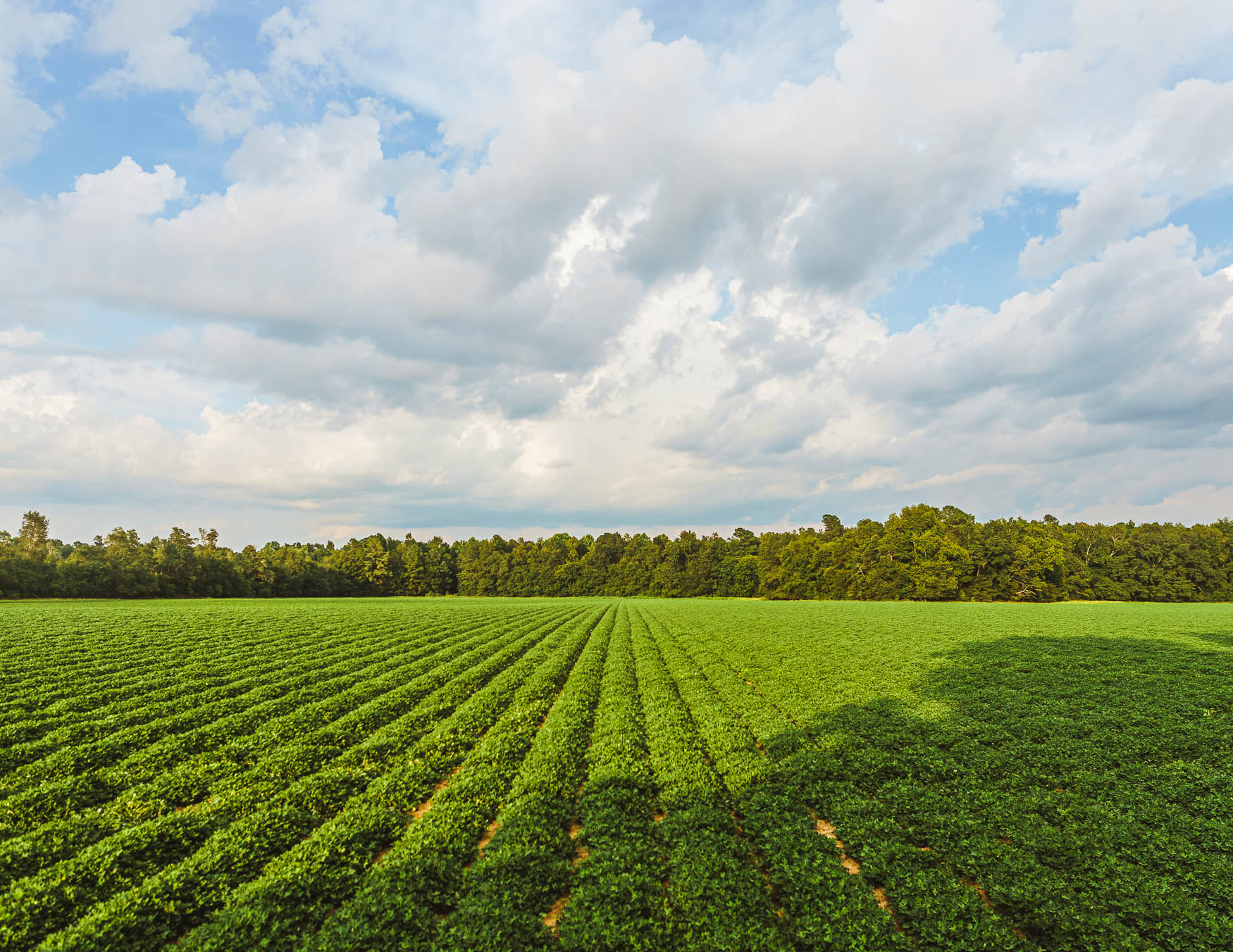 Drone Road Farm Photo