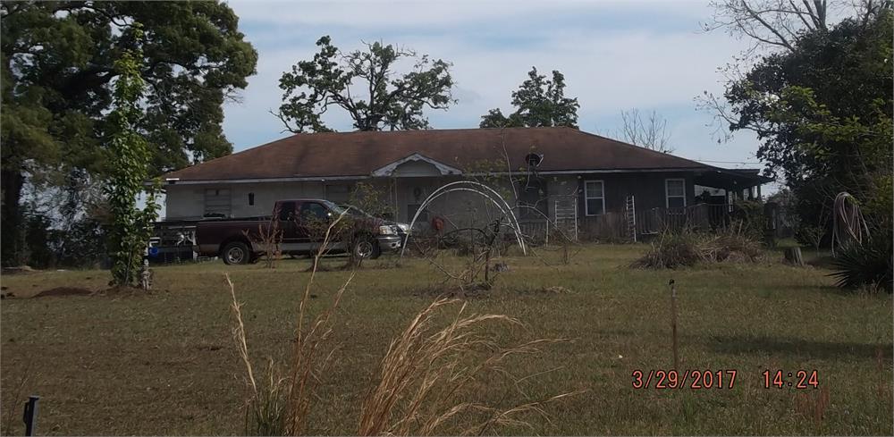 Quail Road Cattle Farm Photo