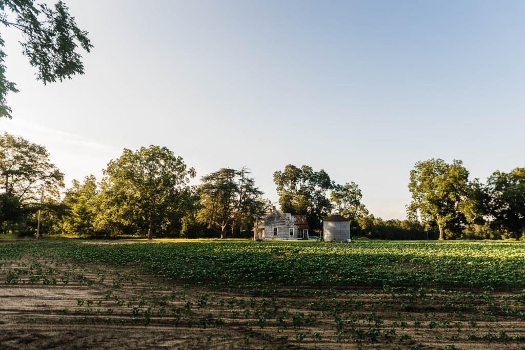 Bream Bed Farm Photo