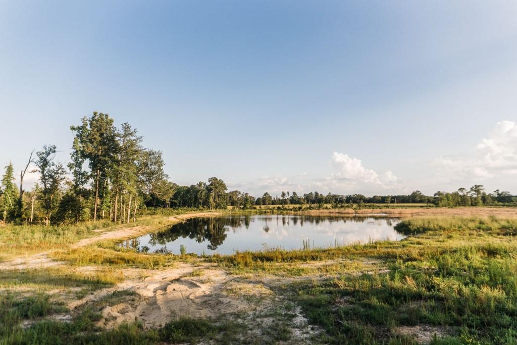 Bream Bed Farm Photo