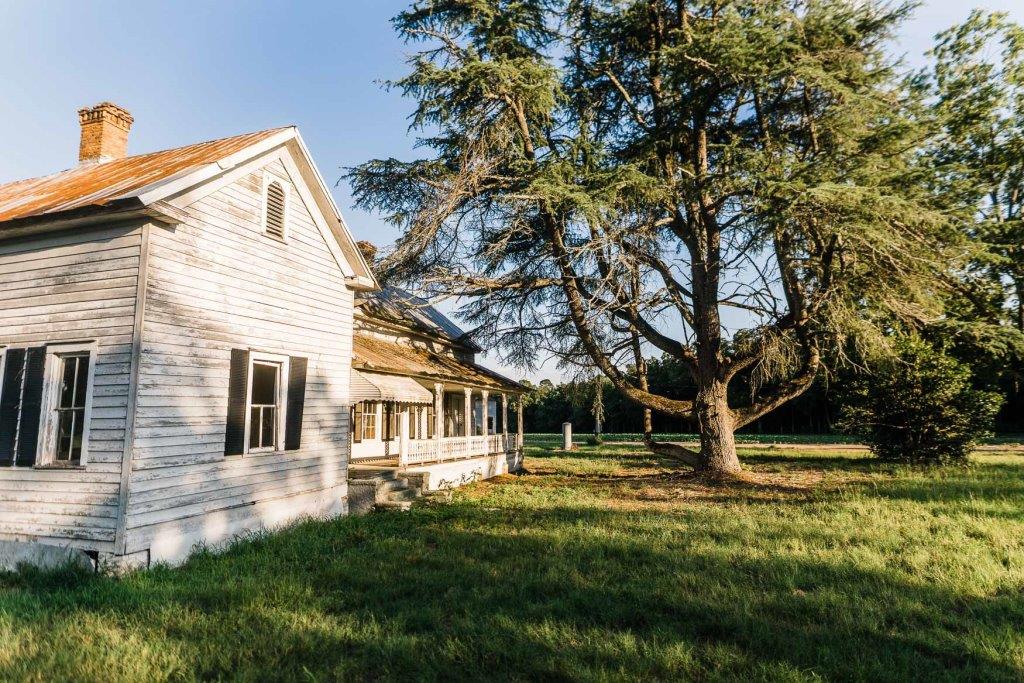 Bream Bed Farm Photo