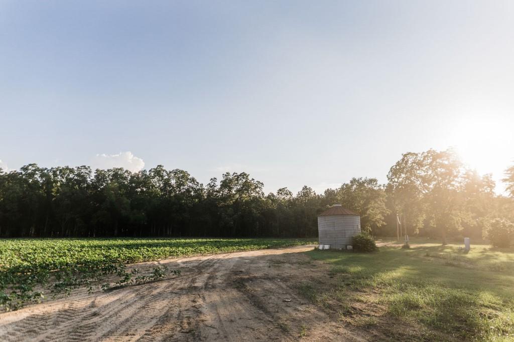 Bream Bed Farm Photo