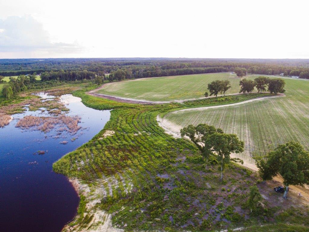 Bream Bed Farm Photo