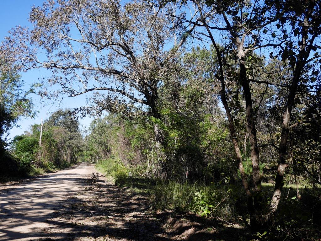 Sonny Allen Rd. Photo