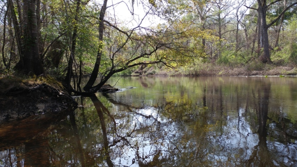 Bunn Lake Photo