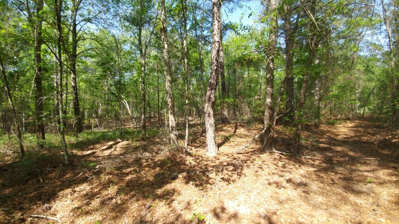 Monroe Pond Photo