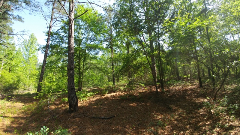 Monroe Pond Photo