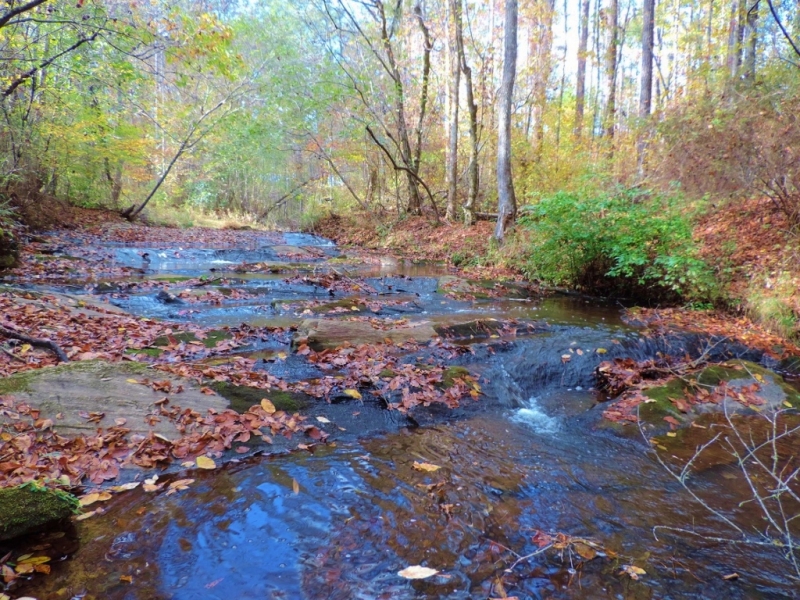 Big Creek Lodge Photo