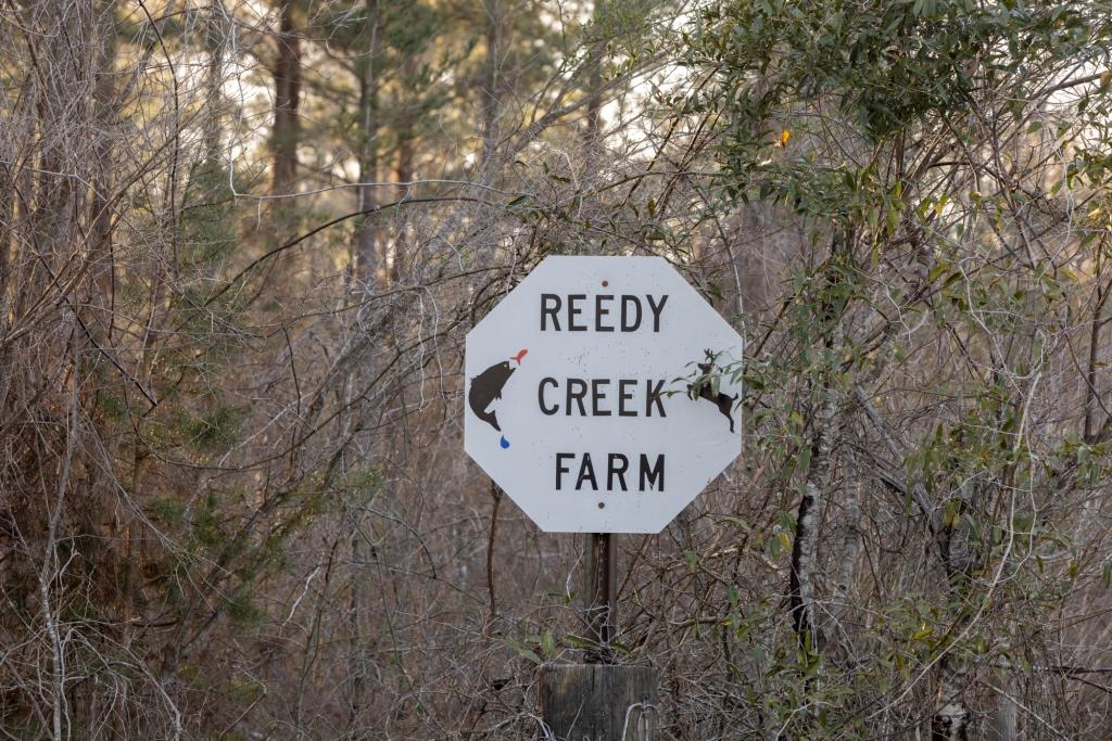 Reedy Creek Lodge Photo