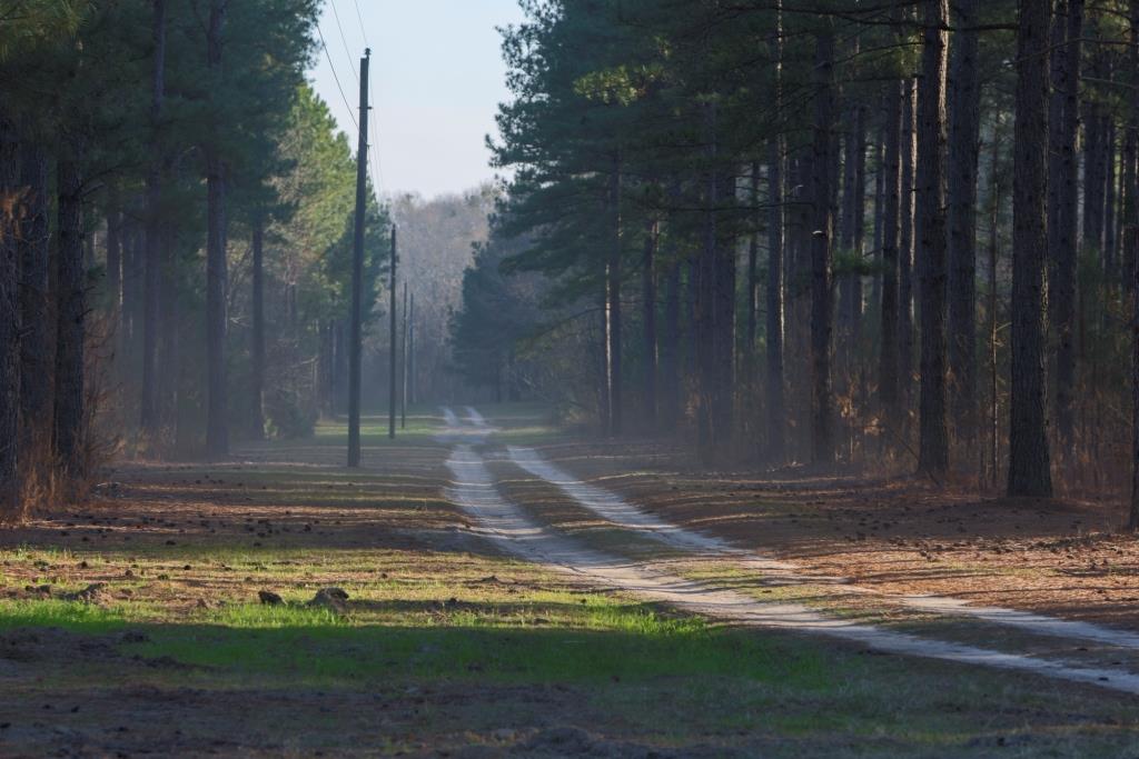 Reedy Creek Lodge Photo