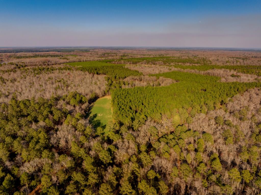 Reedy Creek Lodge Photo