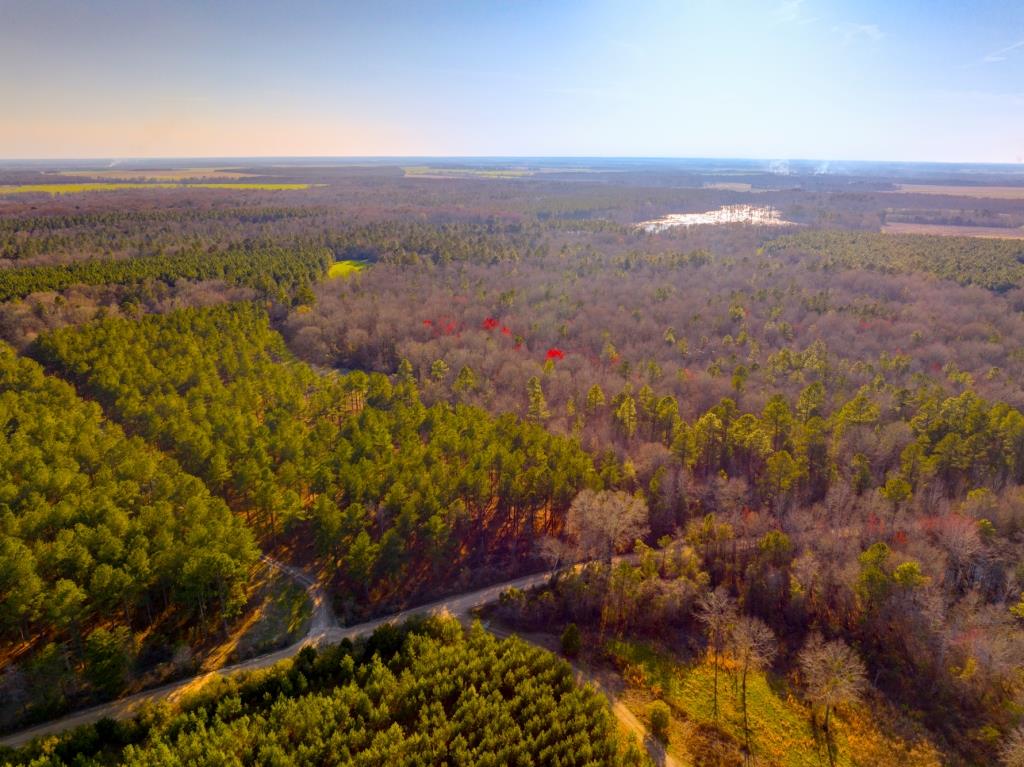 Reedy Creek Lodge Photo