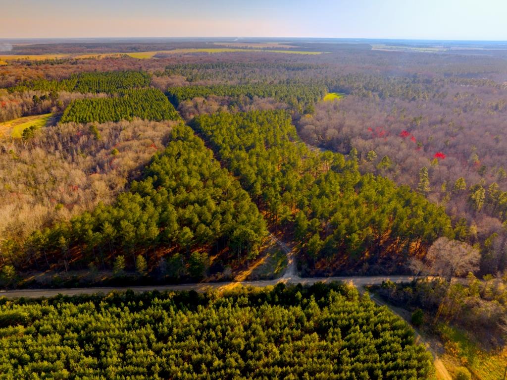 Reedy Creek Lodge Photo