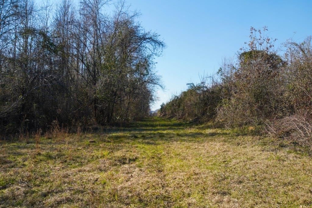 Rogers River Tract Photo