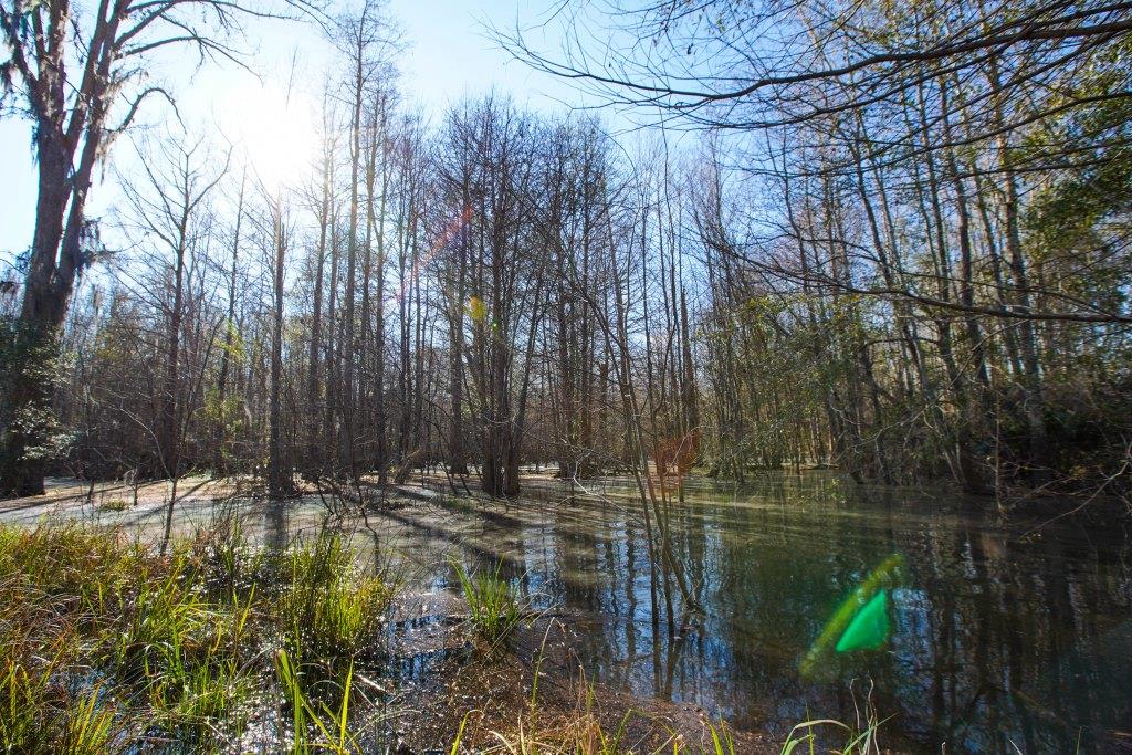 Rogers River Tract Photo