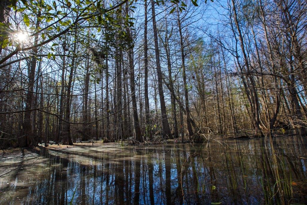 Rogers River Tract Photo