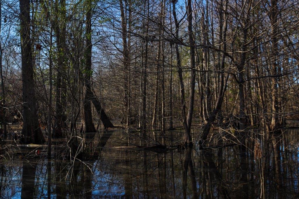 Rogers River Tract Photo