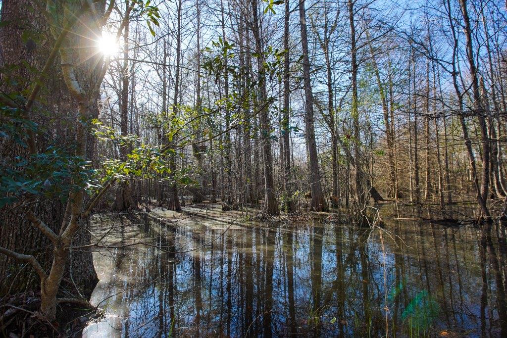 Rogers River Tract Photo