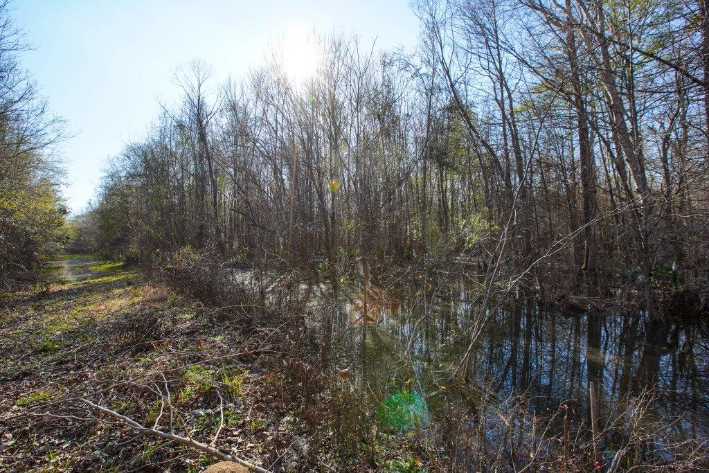 Rogers River Tract Photo