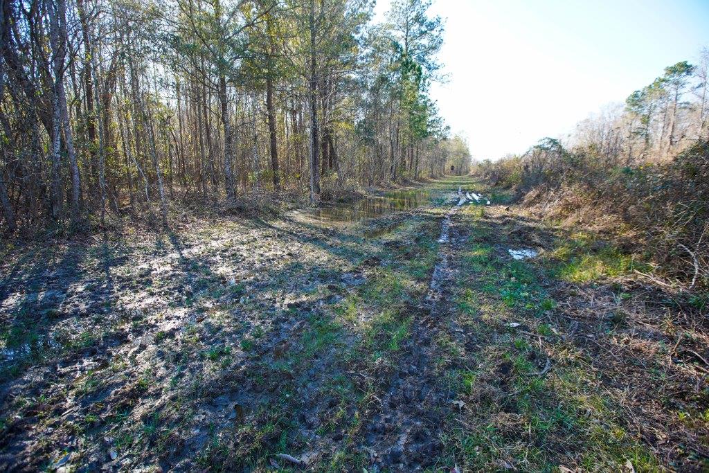 Rogers River Tract Photo