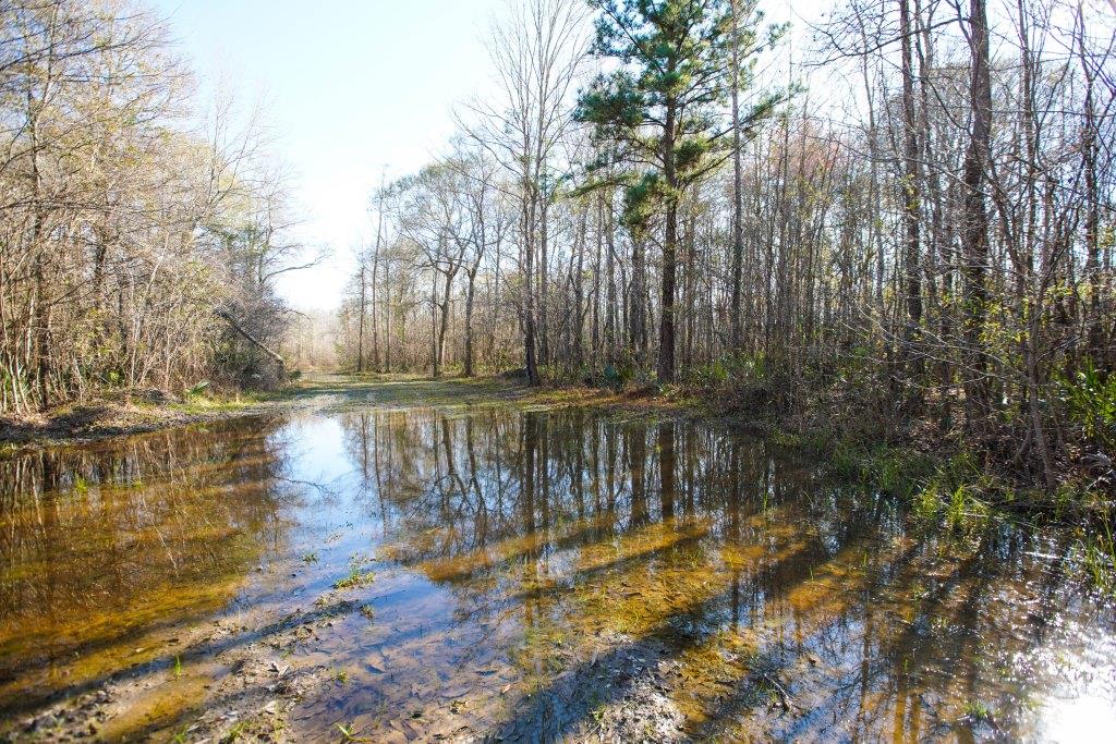 Rogers River Tract Photo