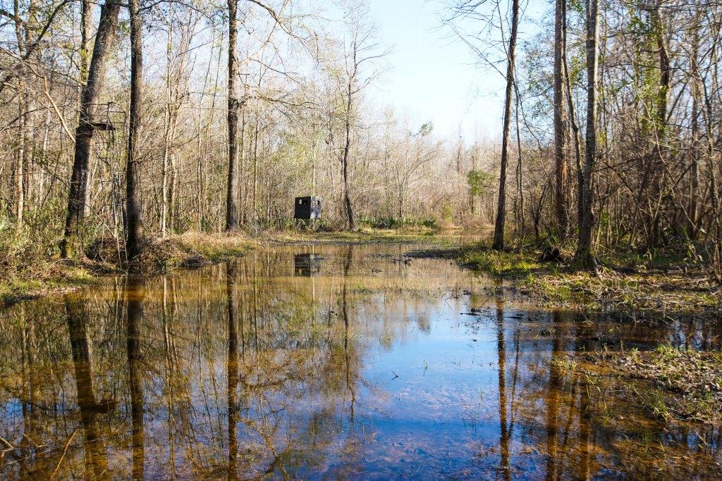 Rogers River Tract Photo