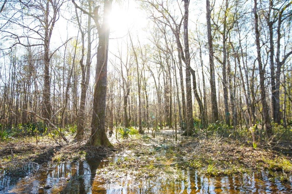 Rogers River Tract Photo