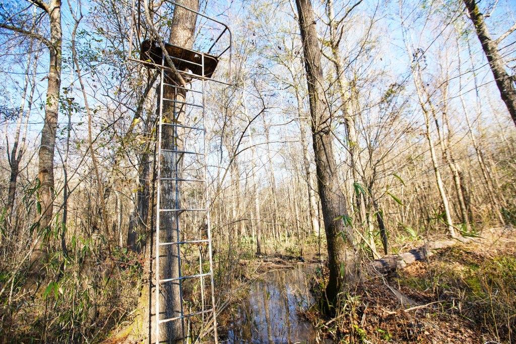 Rogers River Tract Photo