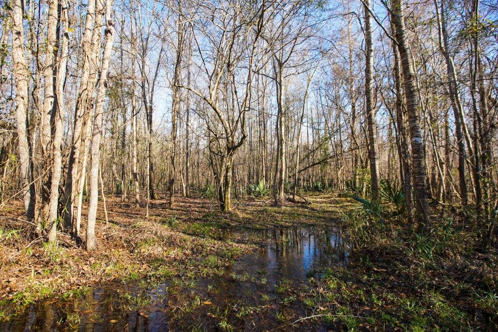 Rogers River Tract Photo