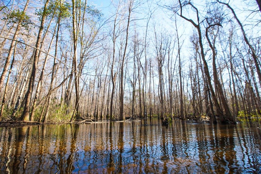 Rogers River Tract Photo