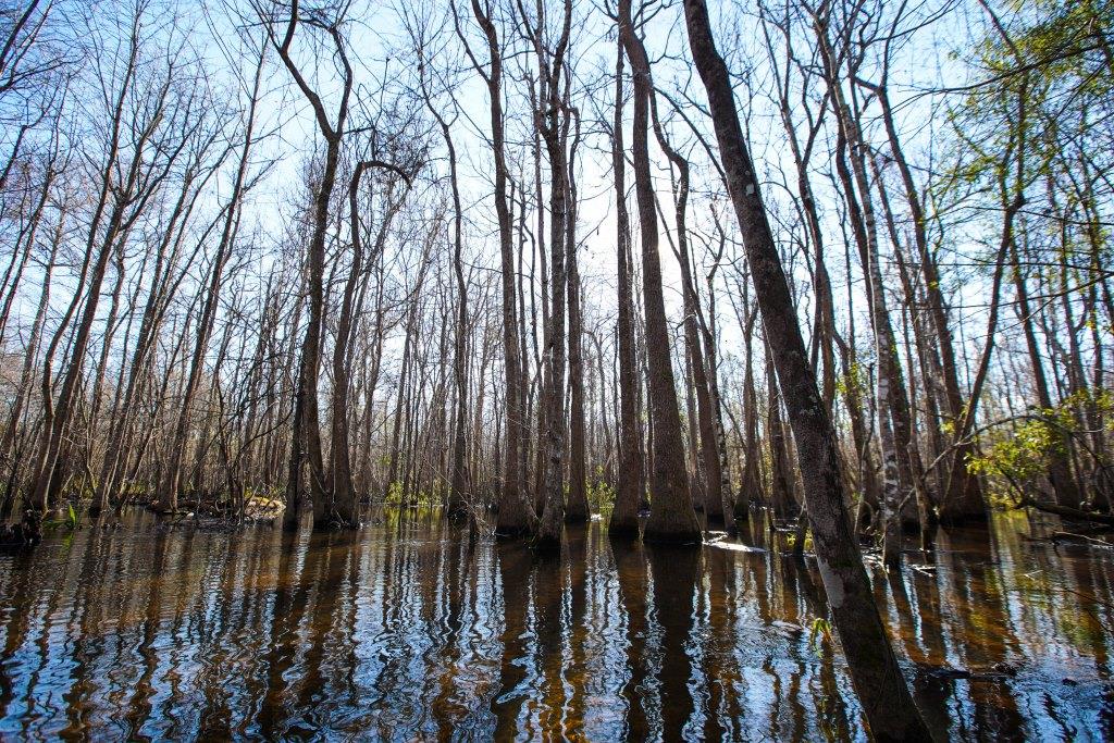 Rogers River Tract Photo