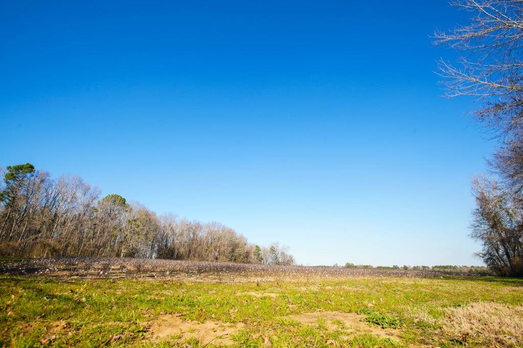 Rogers River Tract Photo