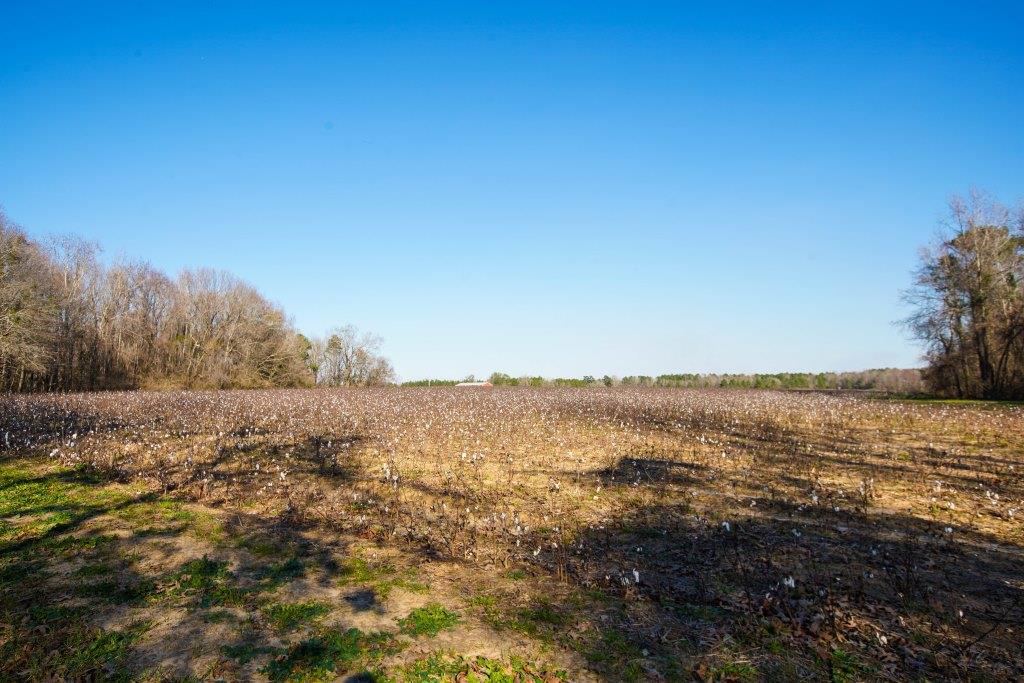 Rogers River Tract Photo