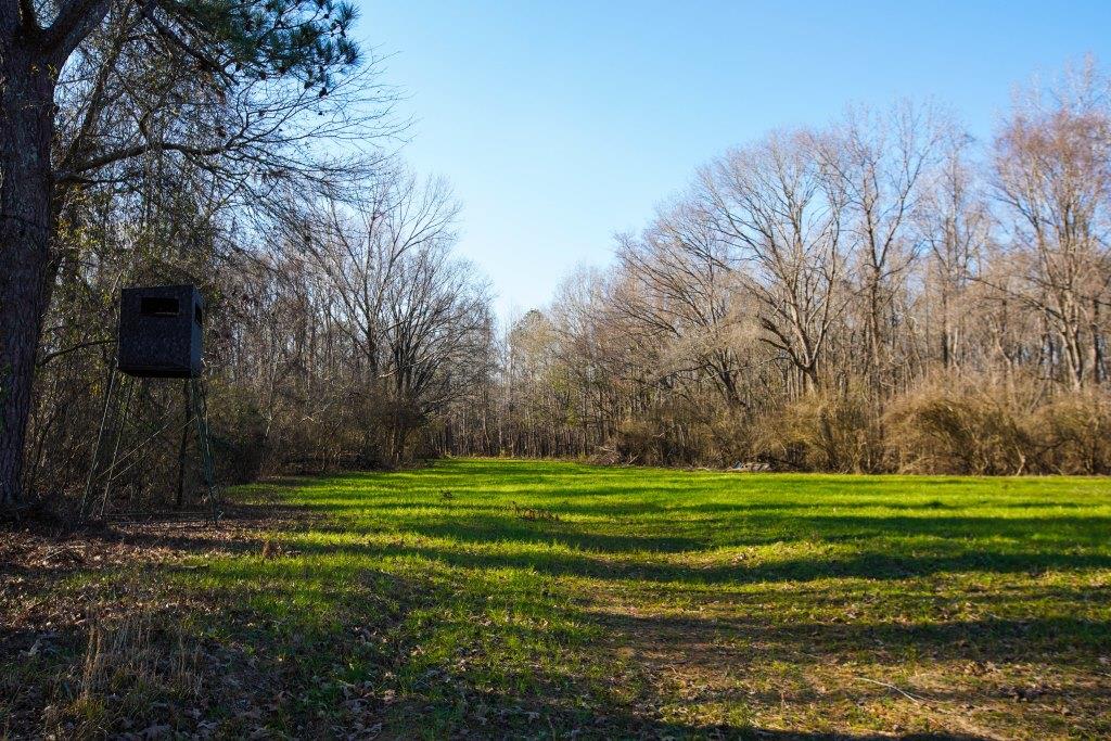 Rogers River Tract Photo