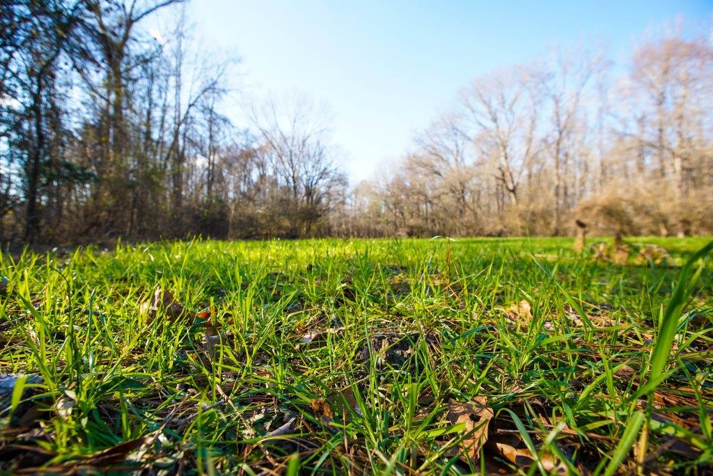 Rogers River Tract Photo