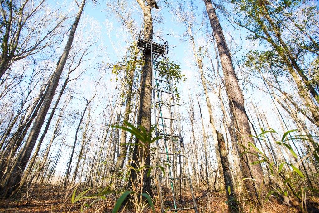 Rogers River Tract Photo