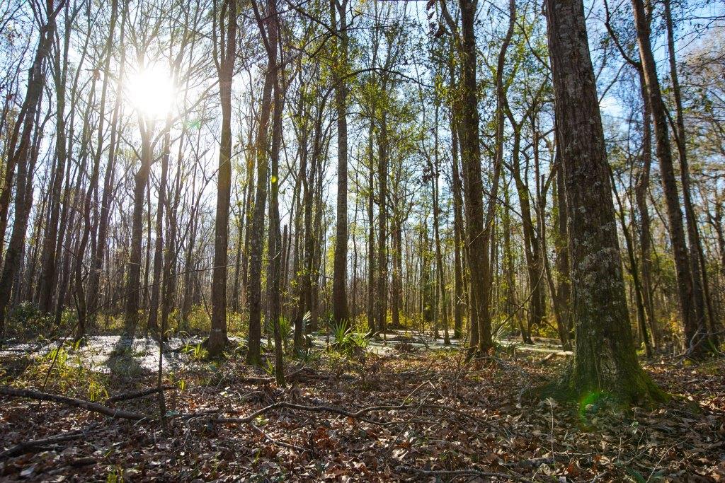 Rogers River Tract Photo