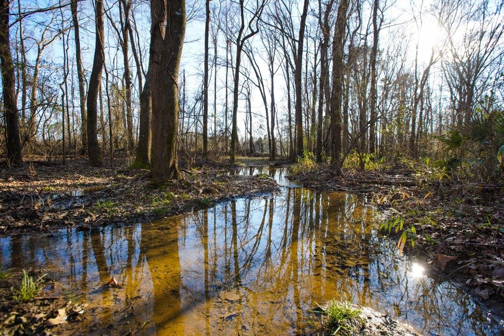 Rogers River Tract Photo