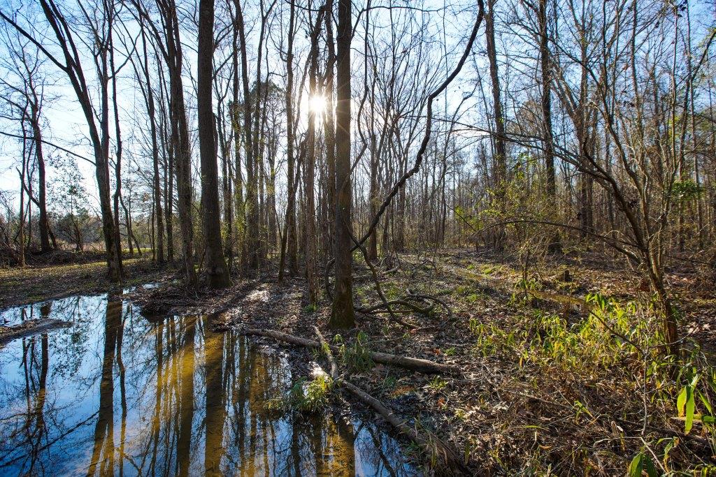 Rogers River Tract Photo