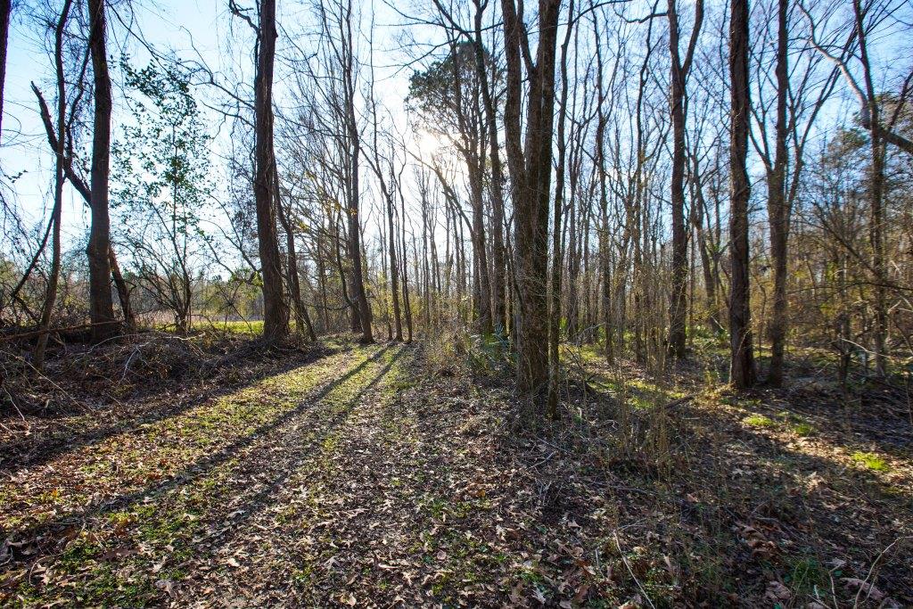 Rogers River Tract Photo