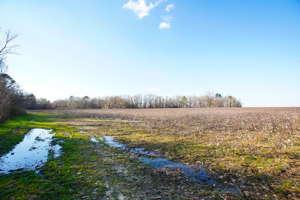 Rogers River Tract Photo