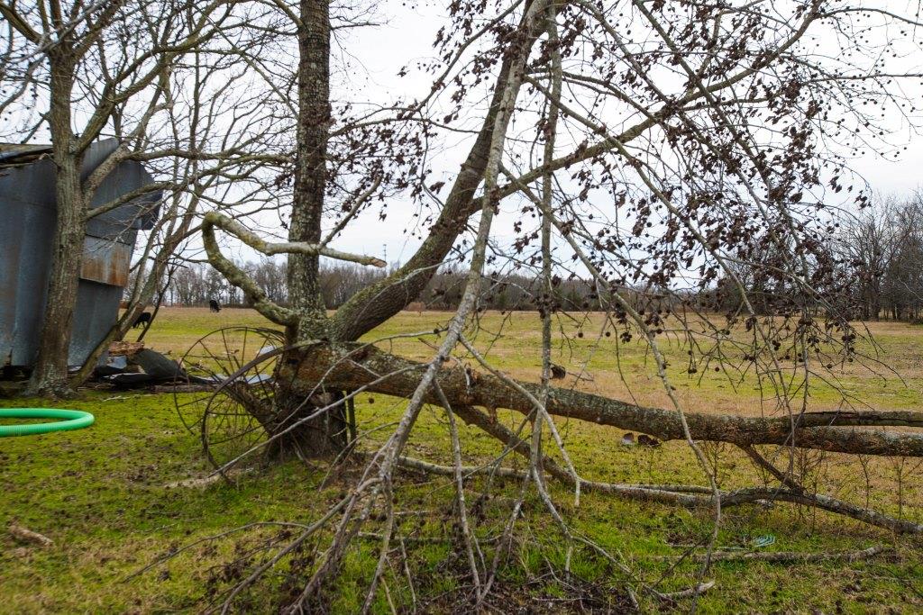 Brinson Farm Photo