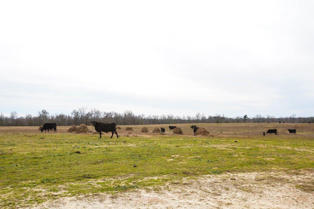 Brinson Farm Photo