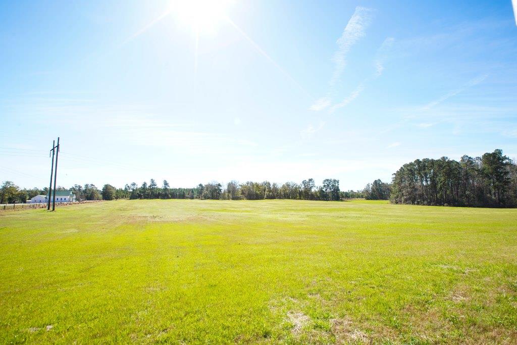 Hilltop Pastures Photo