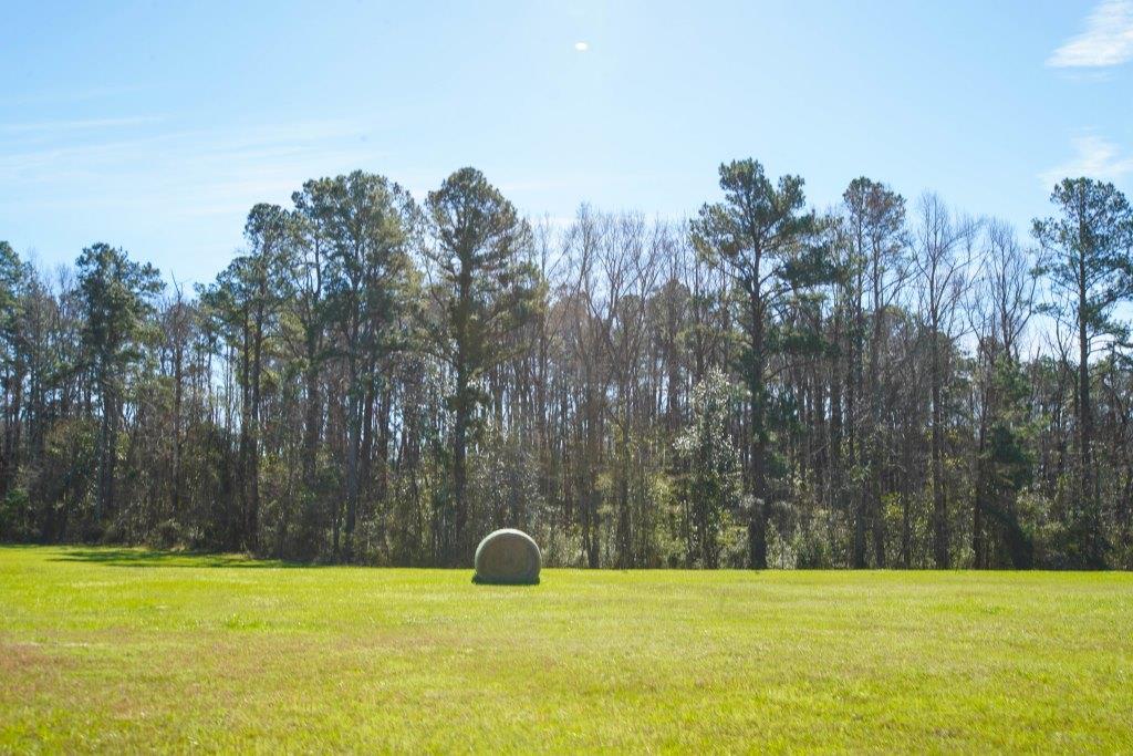 Hilltop Pastures Photo