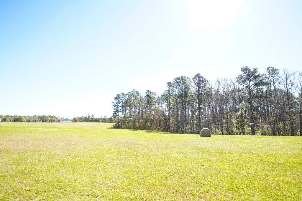 Hilltop Pastures Photo