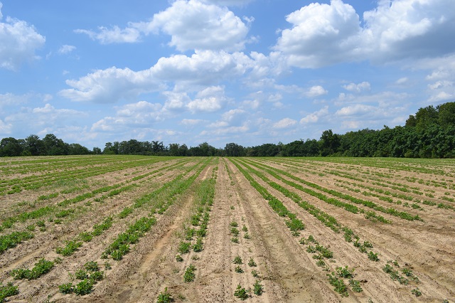 Sand Creek Farm Photo