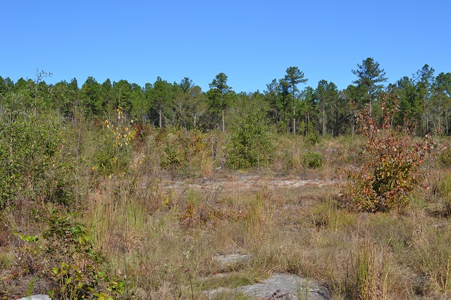 Nails Creek Photo