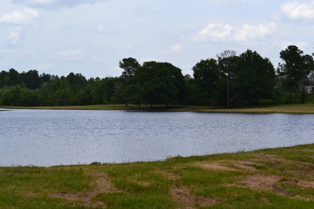 Willow Pond Farm Photo